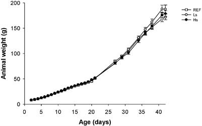 Staphylococcus epidermidis’ Overload During Suckling Impacts the Immune Development in Rats